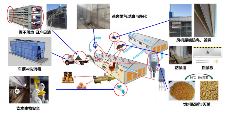 养殖大全指导技术书_养殖技术讲解_养殖技术指导大全