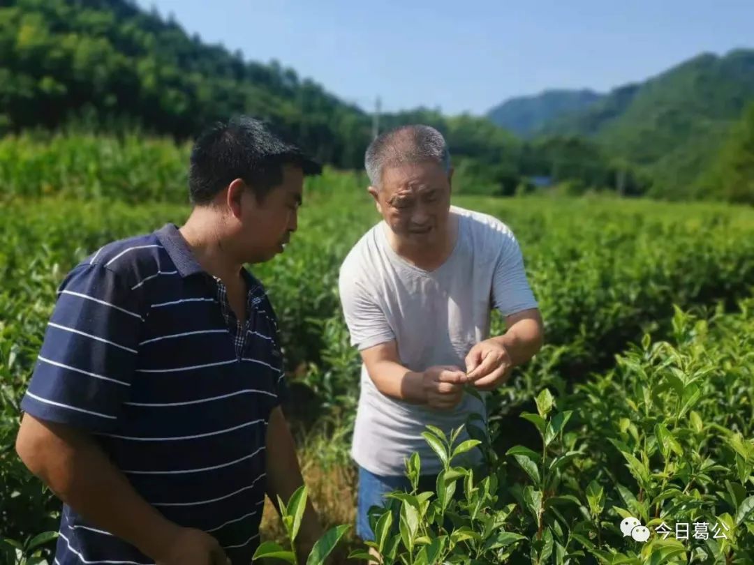 园林养殖场_园林养殖养鸡技术规范_园林养鸡养殖技术