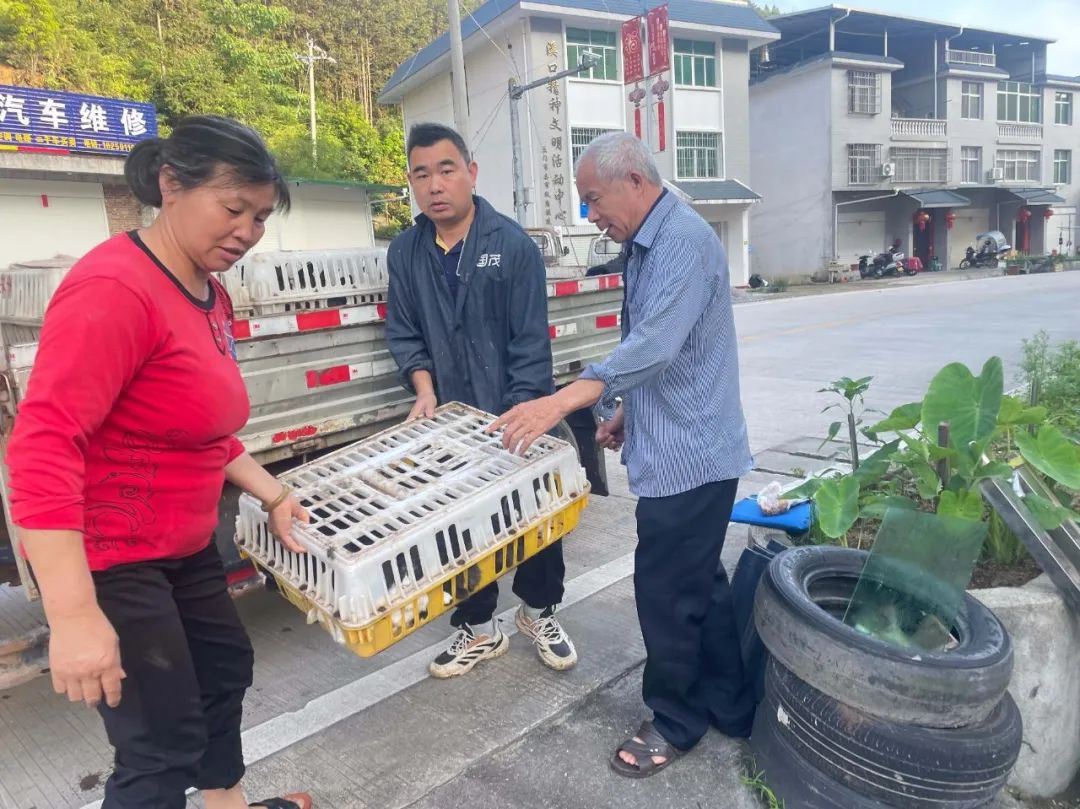 致富扶贫兔养殖有补贴吗_农村致富网养殖业兔子_扶贫兔养殖致富