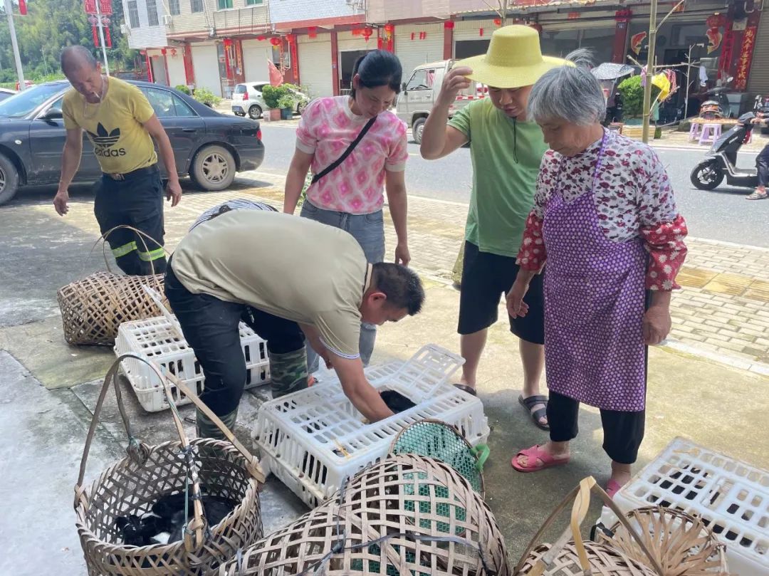 农村致富网养殖业兔子_致富扶贫兔养殖有补贴吗_扶贫兔养殖致富