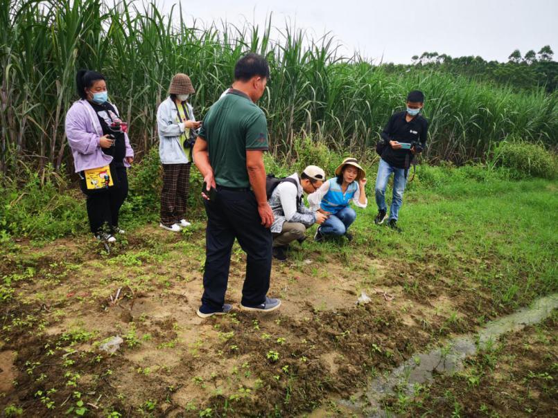 番石榴种植致富_致富石榴种植视频_致富石榴种植方法