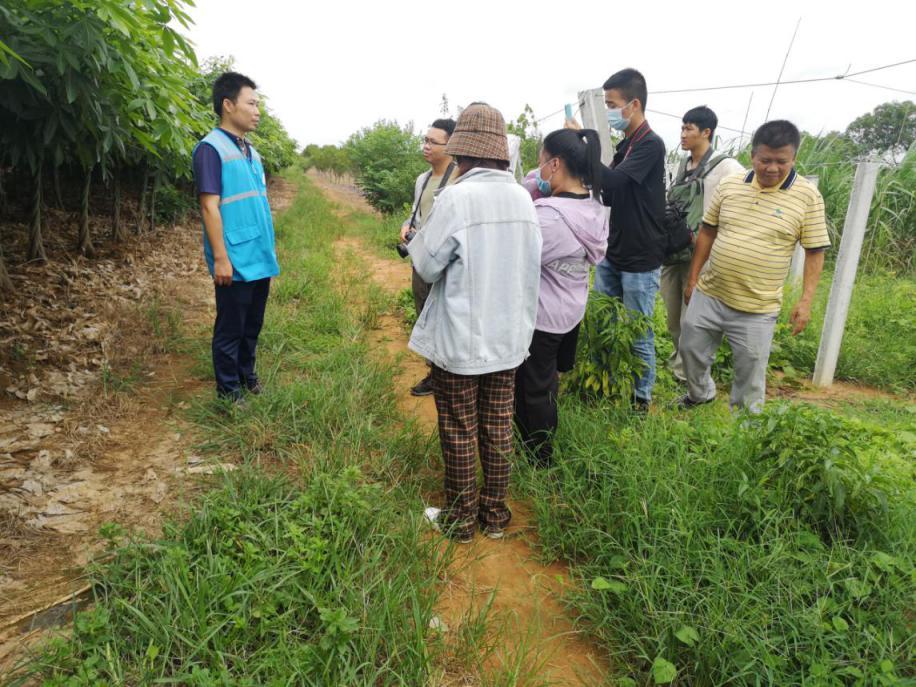 致富石榴种植视频_致富石榴种植方法_番石榴种植致富