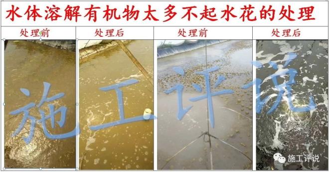 鳗鱼养殖池的设计建造_土池鳗鱼养殖技术视频_土塘养殖鳗鱼