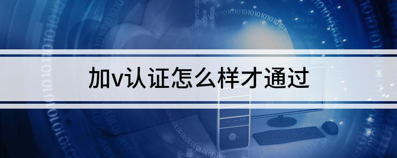 优质加v认证经验_优质加v认证经验_优质加v认证经验