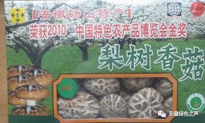 砀山县种什么农作物_砀山县种植结构_砀山种植致富