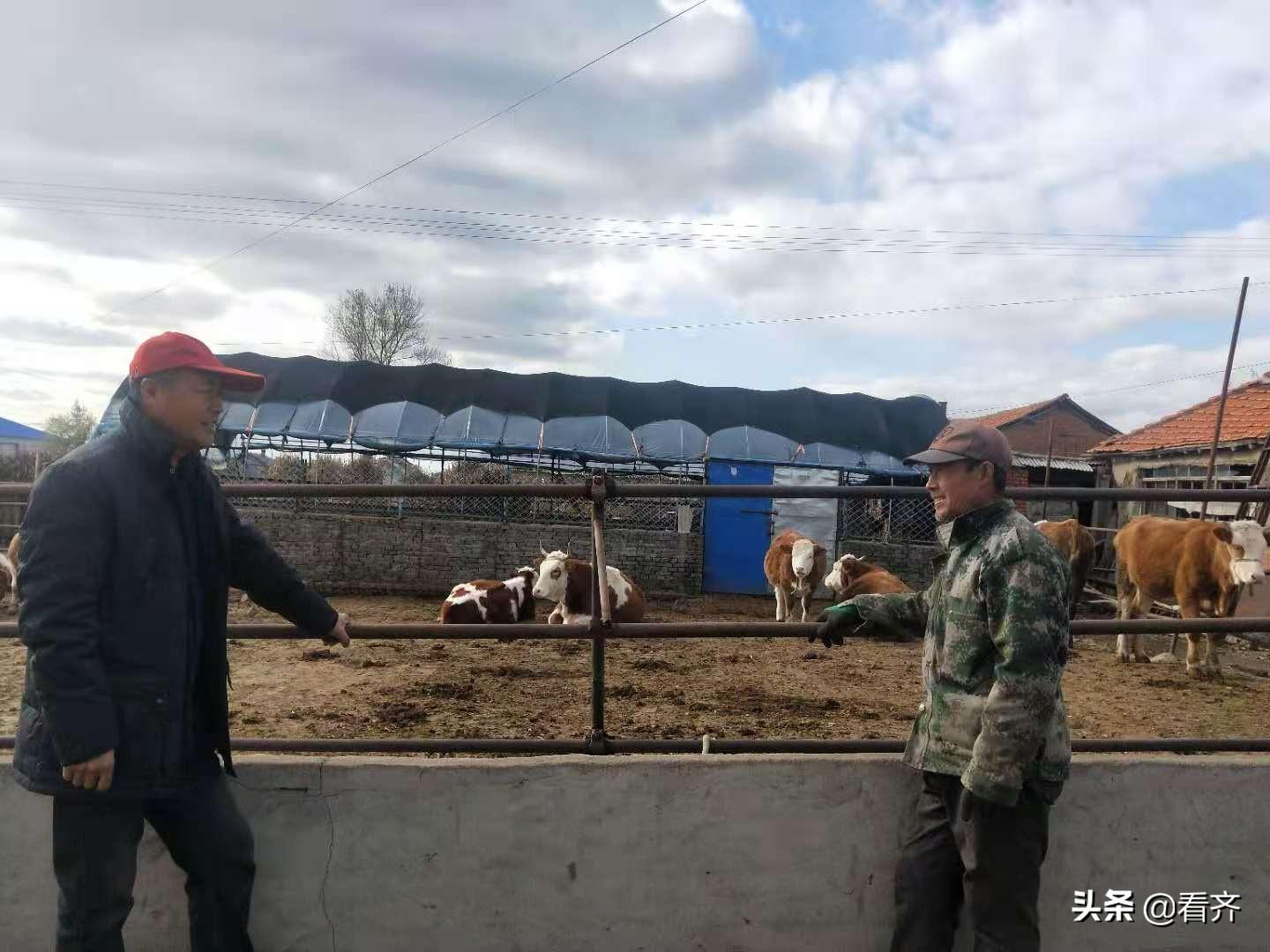 齐齐哈尔周边农村_齐齐哈尔农村种植致富_齐齐哈尔适合种植草药吗