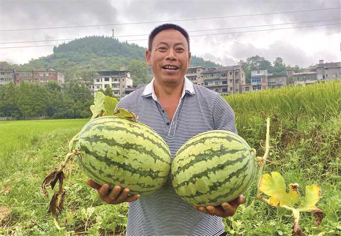 大足苗木基地_大足区农业种植补贴_大足种植致富