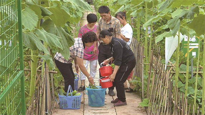 大足区农业种植补贴_大足苗木基地_大足种植致富