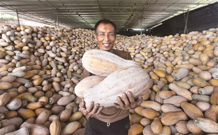 大足种植致富_大足苗木基地_大足区农业种植补贴