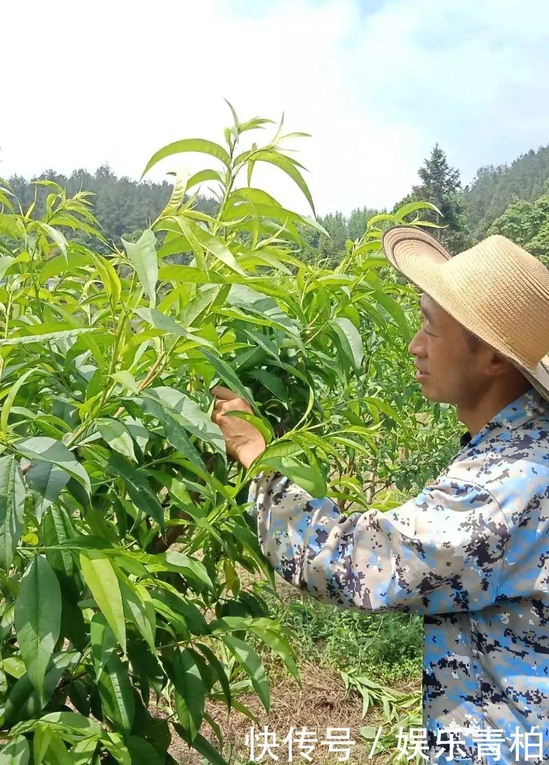 致富能手的致富经验_农村种植致富能手事迹材料_种植致富能手纪实