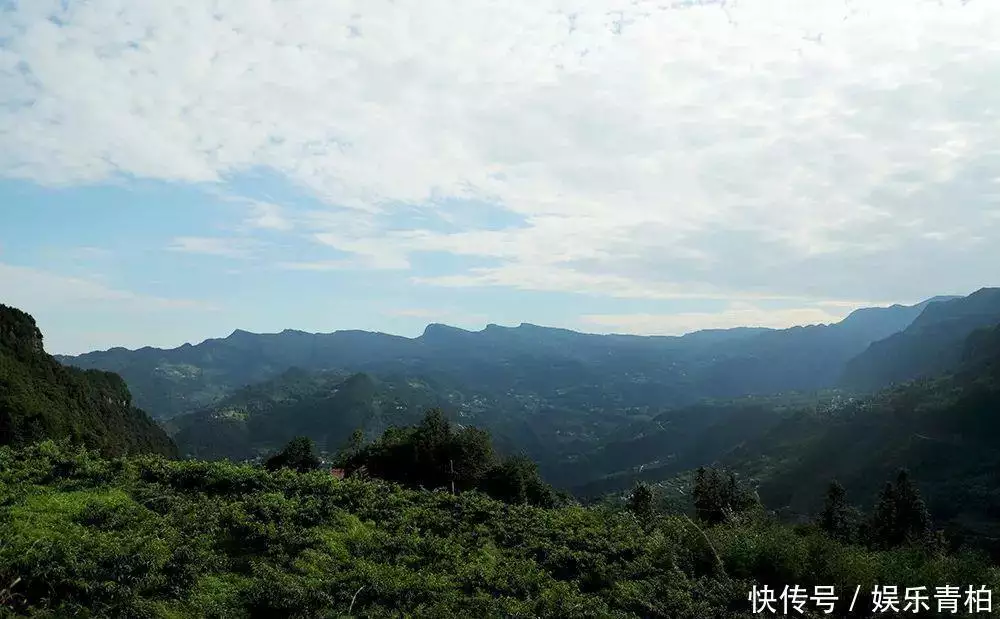 农村种植致富能手事迹材料_致富能手的致富经验_种植致富能手纪实