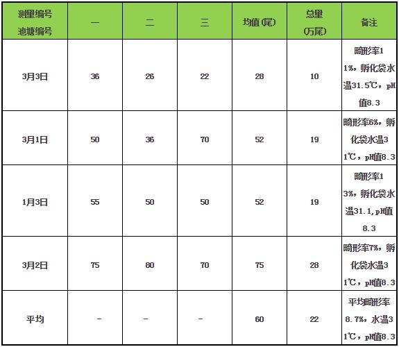 深海养殖石斑鱼_海水石斑鱼养殖技术_海水石斑鱼可以人工养殖吗