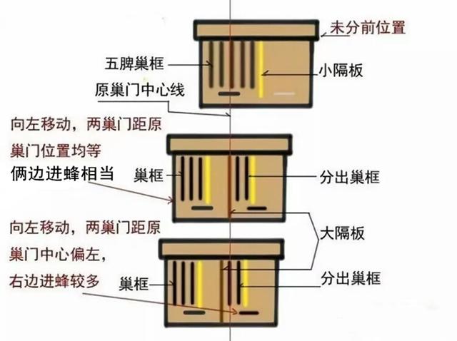 蜜蜂养殖的技术含量_蜜蜂养殖户_蜜蜂养殖项目