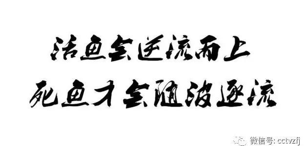 上千万的生意不要！沙子里到底有什么财富吸引他？