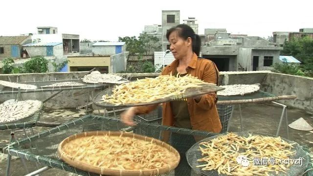 养殖沙虫要多少成本_每日农经致富经养沙虫_养殖沙虫新技术视频