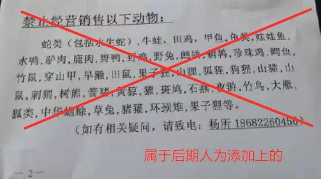 人工养殖的斑鸠_斑鸠人工养殖技术_养殖人工斑鸠技术与管理