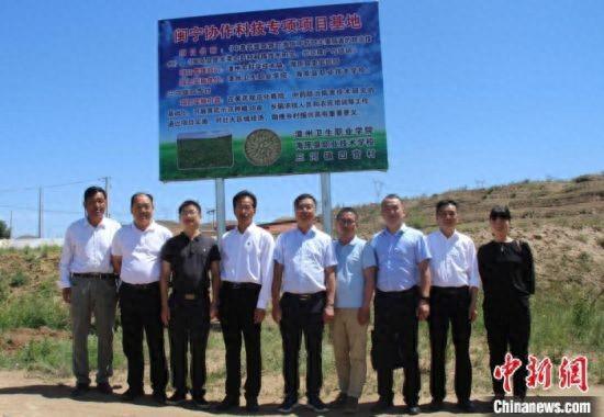 福建漳州老师宁夏海原种植中草药 助力农民增收