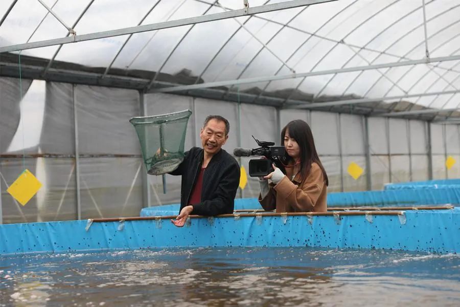 致富养鱼视频_致富经养殖养鱼_致富养殖养鱼视频