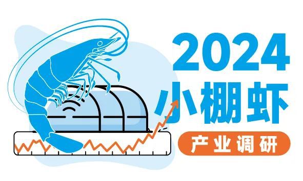 海水养殖首茬虾成功率高达90%，单棚收益16000元，这个园区养虾致富秘诀曝光！| 2024小棚虾产业调研⑨