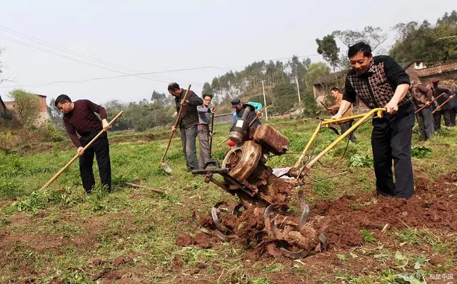 耕种地上可以搞养殖吗_致富耕地种植上可以种什么菜_耕地上种植什么可以致富