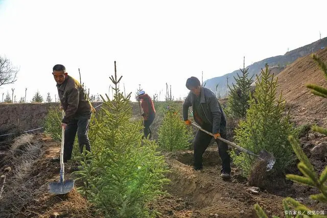 耕地上种植什么可以致富_耕种地上可以搞养殖吗_致富耕地种植上可以种什么菜