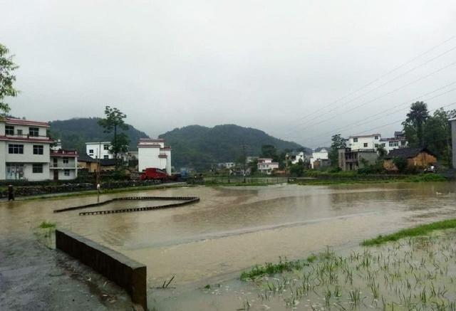 为什么被洪水淹过的土地，一段时间内不能直接进行耕种？