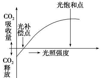 耕地上种植什么可以致富_致富耕地种植上可以种什么_耕种地上可以搞养殖吗