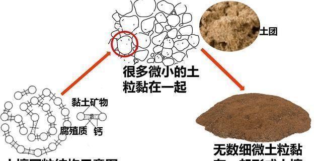 耕种地上可以搞养殖吗_致富耕地种植上可以种什么_耕地上种植什么可以致富