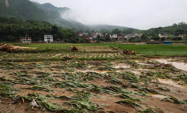 耕种地上可以搞养殖吗_耕地上种植什么可以致富_致富耕地种植上可以种什么