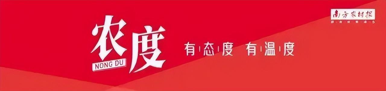 月薪5万急聘主播！股价大涨，新东方居然靠卖农产品翻身了