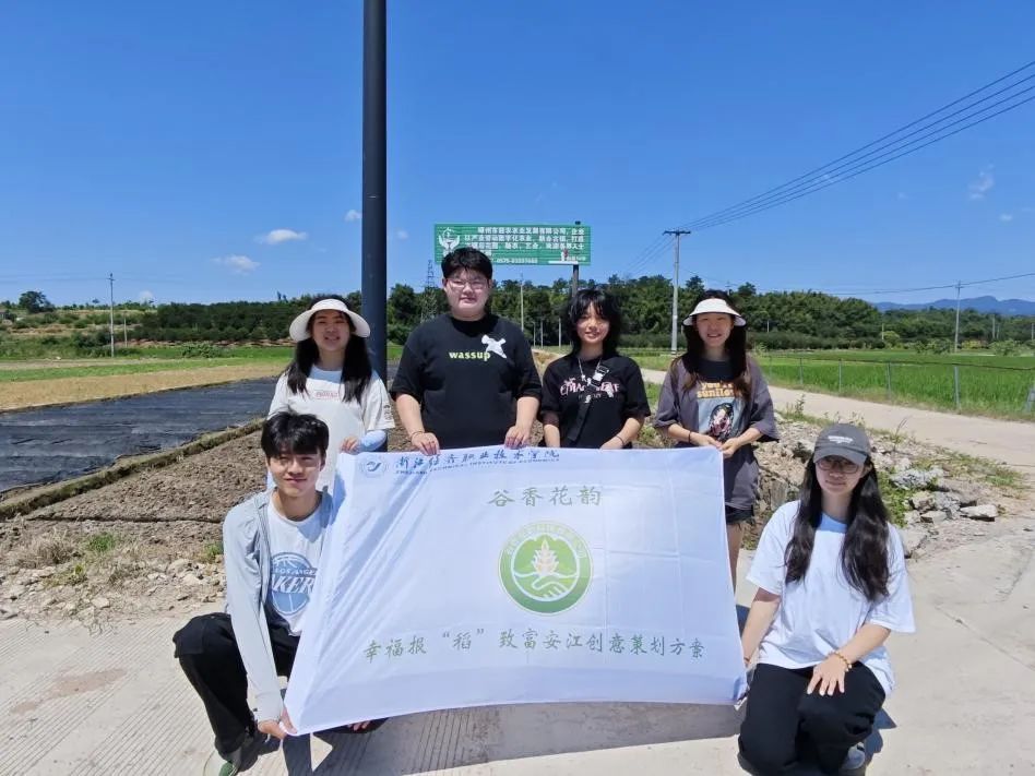 致富种植谷子怎么样_致富种植谷子图片_谷子种植致富