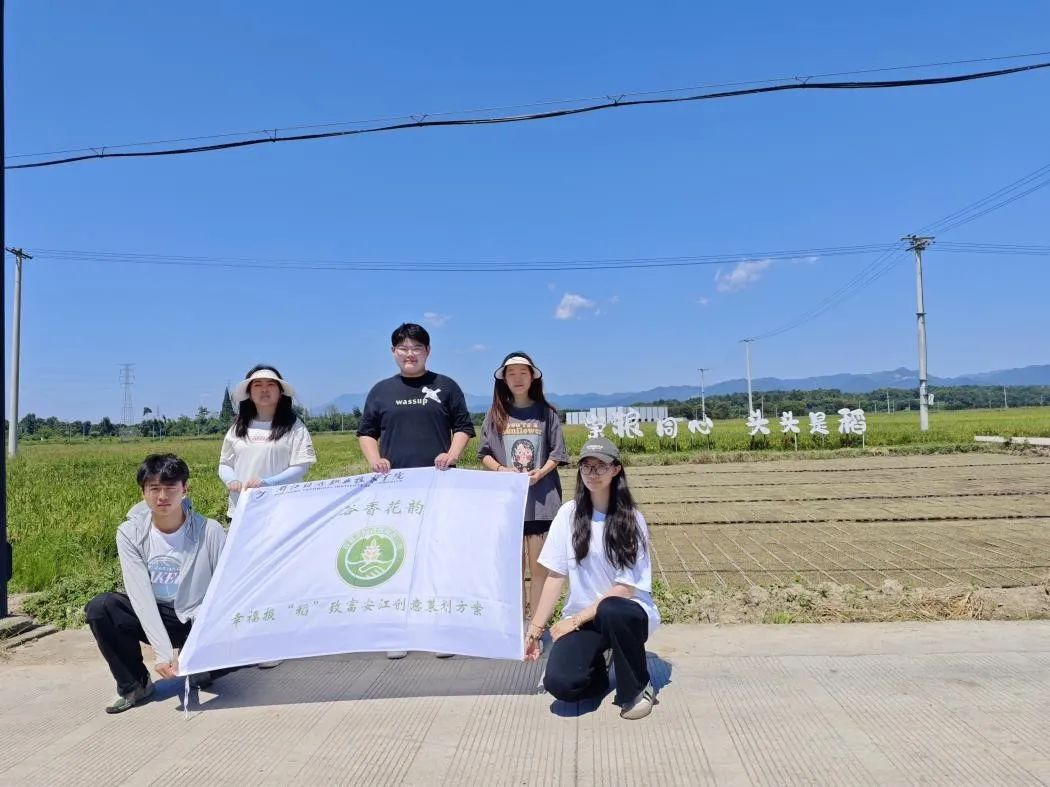 谷子种植致富_致富种植谷子怎么样_致富种植谷子图片