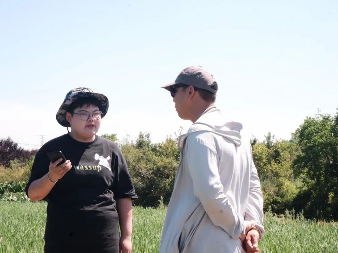 致富种植谷子图片_谷子种植致富_致富种植谷子怎么样