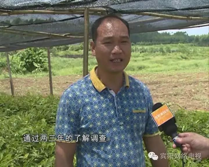 海南种植农业基地_海南种植业前景_海南农业种植致富