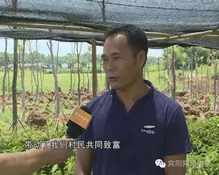 海南农业种植致富_海南种植业前景_海南种植农业基地