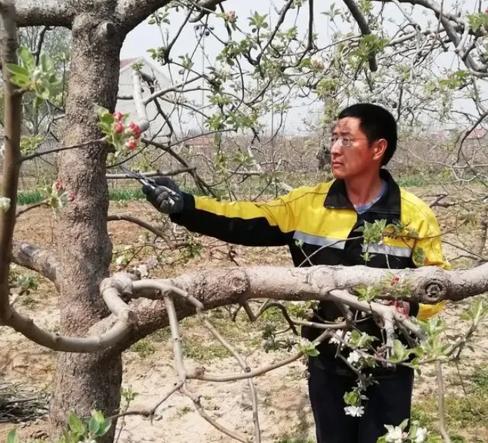 金蝉花的养殖技术_养殖金蝉花技术与管理_养殖金蝉花技术视频教程