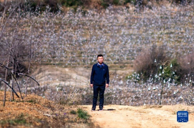 农民工致富门路_农民种植致富项目_农民工种植致富故事