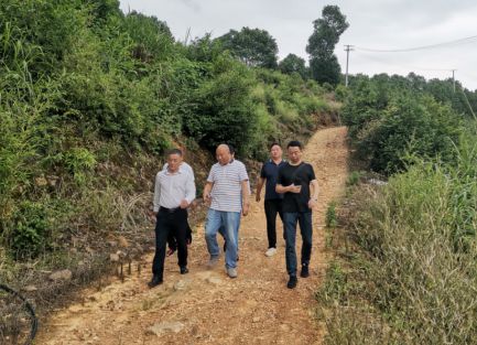 种植山油茶，效益可持续 孔志村驻村书记扶贫致富有思路