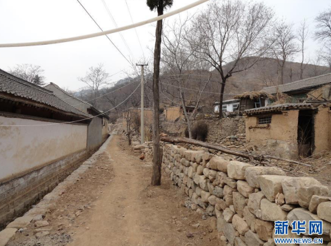 荒山种植致富方法_荒山种植什么赚钱_荒山致富项目