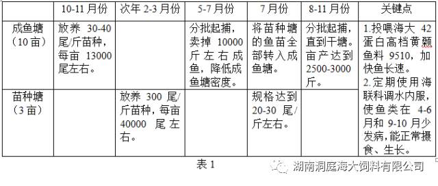 黄颡鱼成鱼养殖技术_养殖黄颡鱼技术视频_黄颡鱼人工养殖