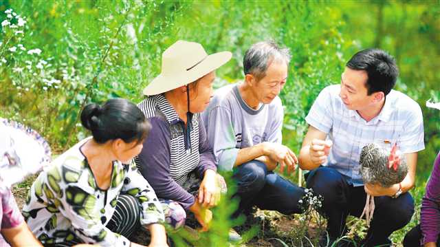 致富养殖好项目大全_致富网农村项目养殖业_黔江最新养殖致富