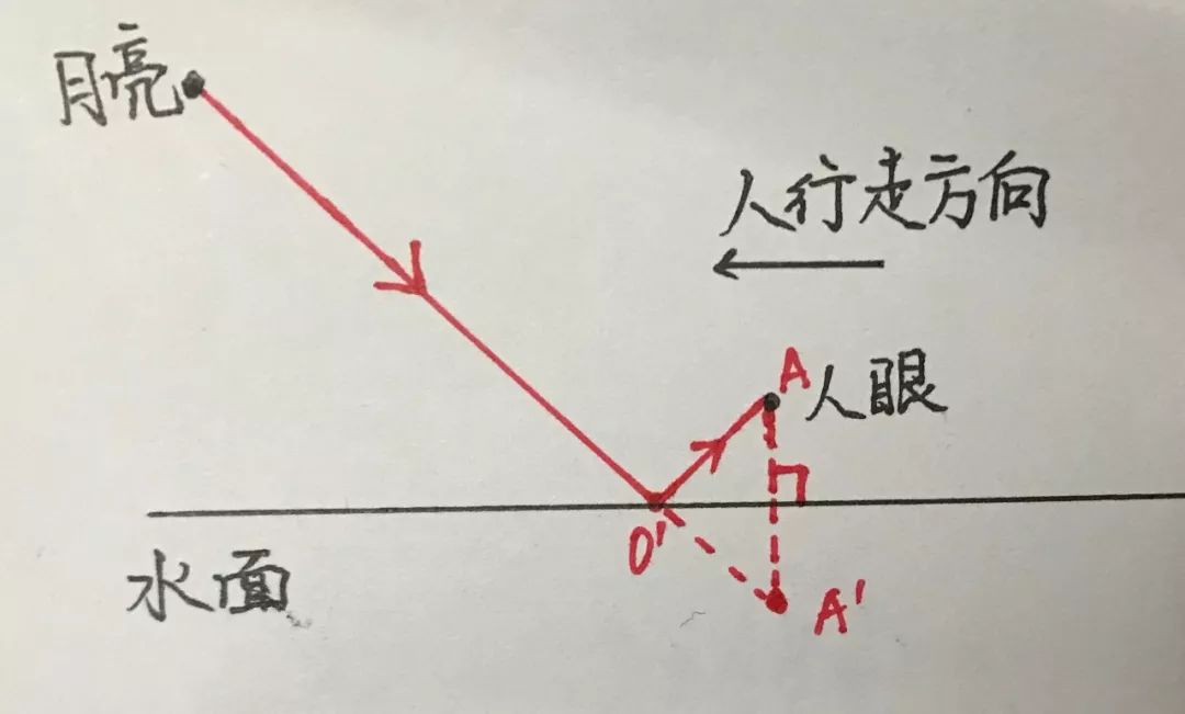 优质高中生学习经验_高中优秀学生经验分享_高中优生如何培养经验交流