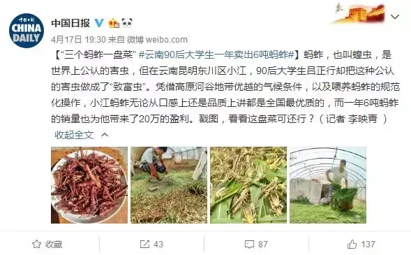 致富养殖害虫项目有哪些_致富养殖害虫项目招标_养殖害虫致富项目