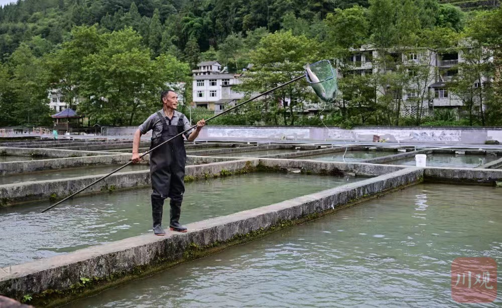 养殖建房养殖致富_养殖致富项目农村_农村养殖建房