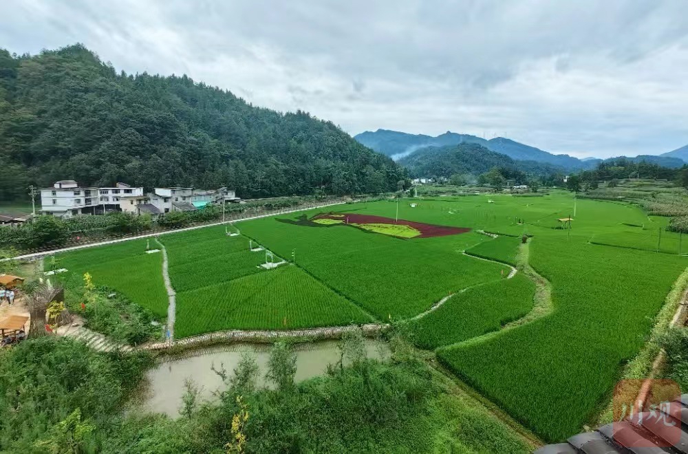 农村养殖建房_养殖建房养殖致富_养殖致富项目农村