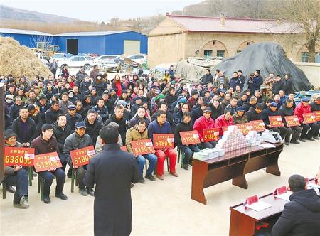 甘肃庆阳种植_致富种植农民庆阳有补贴吗_庆阳农民种植致富