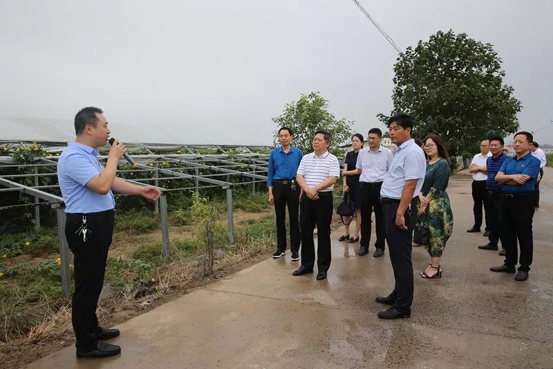 开封主要种植农作物_河南开封种植什么有优势_开封种植致富项目