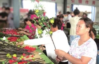 开封主要种植农作物_河南开封种植什么有优势_开封种植致富项目