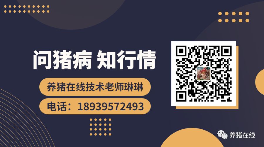 饲料配方养殖泥鳅技术视频_饲料泥鳅怎么养_泥鳅养殖技术及饲料配方