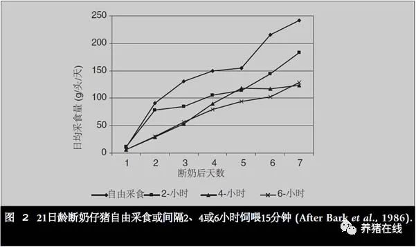 饲料配方养殖泥鳅技术视频_泥鳅养殖技术及饲料配方_饲料泥鳅怎么养